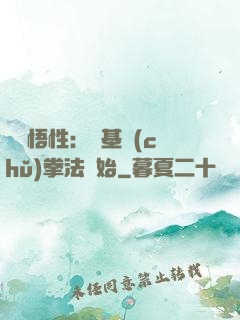頂級悟性：從基礎(chǔ)拳法開始