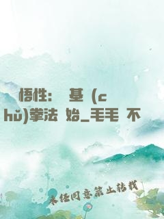 頂級悟性：從基礎(chǔ)拳法開始