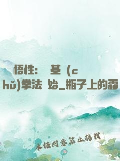 頂級悟性：從基礎(chǔ)拳法開始