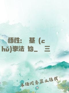 頂級悟性：從基礎(chǔ)拳法開始