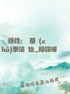 頂級悟性：從基礎(chǔ)拳法開始