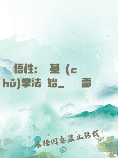 頂級悟性：從基礎(chǔ)拳法開始