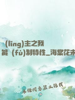 領(lǐng)主之我能復(fù)制特性