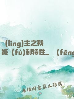 領(lǐng)主之我能復(fù)制特性