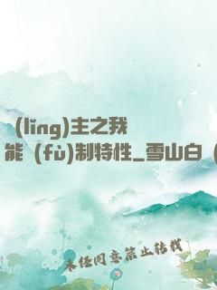 領(lǐng)主之我能復(fù)制特性