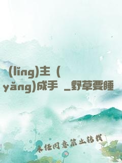 領(lǐng)主養(yǎng)成手冊