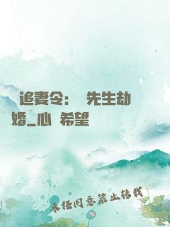 頭號追妻令：陸先生劫個婚