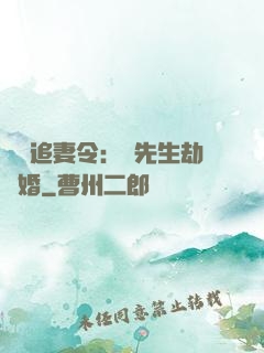 頭號追妻令：陸先生劫個婚