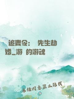 頭號追妻令：陸先生劫個婚