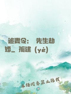 頭號追妻令：陸先生劫個婚