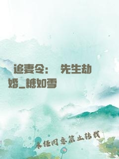 頭號追妻令：陸先生劫個婚