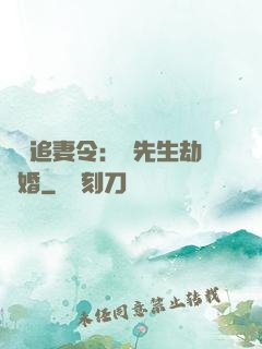 頭號追妻令：陸先生劫個婚