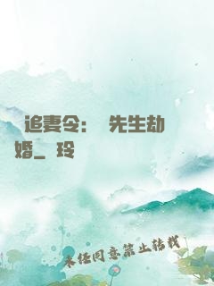 頭號追妻令：陸先生劫個婚