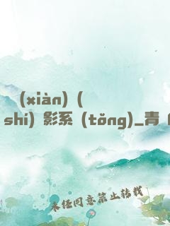 類現(xiàn)實(shí)電影系統(tǒng)