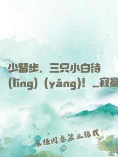 顧少留步，三只小白待領(lǐng)養(yǎng)！