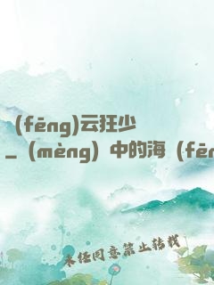風(fēng)云狂少