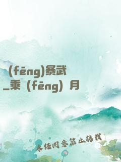 風(fēng)暴武裝