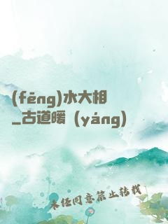 風(fēng)水大相師