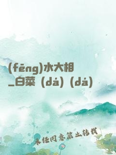 風(fēng)水大相師