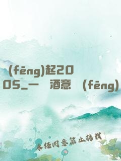 風(fēng)起2005
