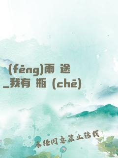 風(fēng)雨歸途