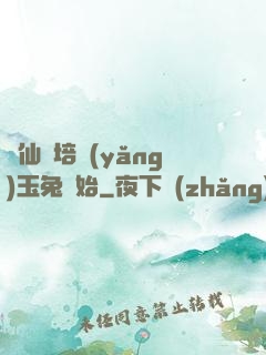 飛仙從培養(yǎng)玉兔開始