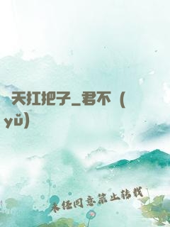 飛天扛把子