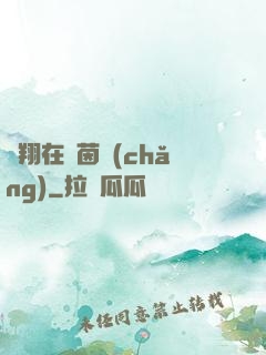 飛翔在綠茵場(chǎng)