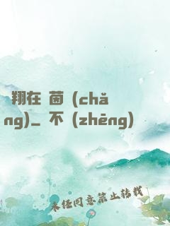 飛翔在綠茵場(chǎng)