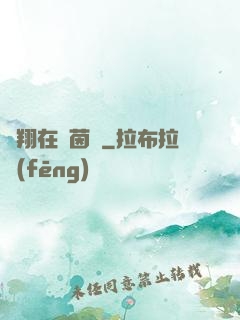 飛翔在綠茵場