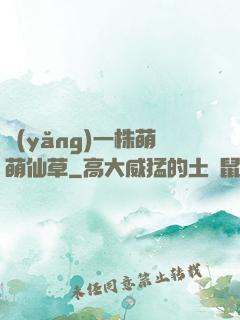 養(yǎng)一株萌萌仙草