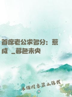 首席老公求名分：惹愛成災