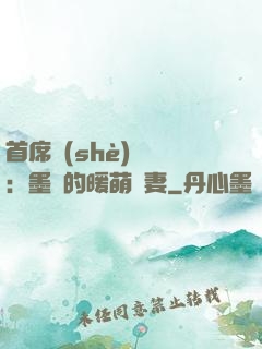 首席設(shè)計師：墨總的暖萌嬌妻