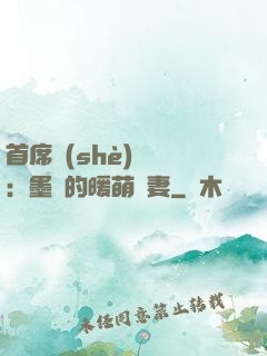 首席設(shè)計師：墨總的暖萌嬌妻