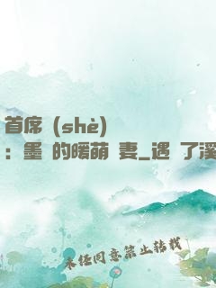 首席設(shè)計師：墨總的暖萌嬌妻