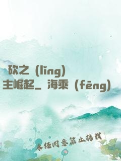 騎砍之領(lǐng)主崛起