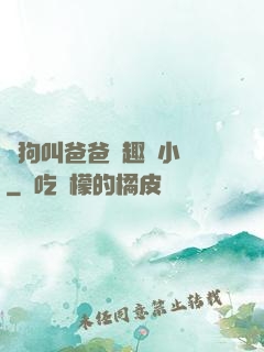 騷狗叫爸爸筆趣閣小說