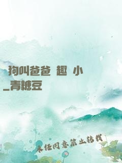騷狗叫爸爸筆趣閣小說