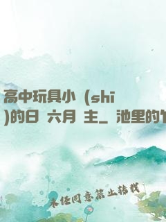高中玩具小詩(shī)的日記六月觀主