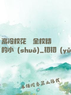 高冷?；S為全校精靈的小說(shuō)