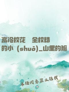 高冷?；S為全校精靈的小說(shuō)