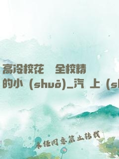 高冷?；S為全校精靈的小說(shuō)