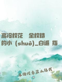 高冷?；S為全校精靈的小說(shuō)