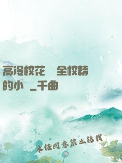 高冷?；S為全校精靈的小說