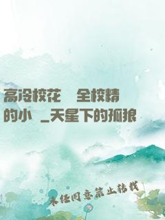 高冷?；S為全校精靈的小說