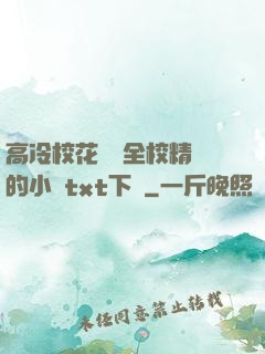 高冷?；S為全校精靈的小說txt下載