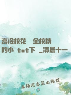 高冷?；S為全校精靈的小說txt下載
