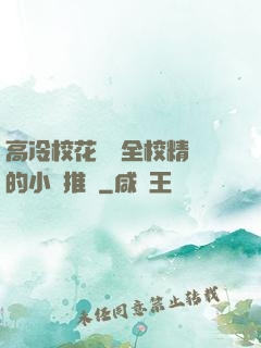 高冷?；S為全校精靈的小說推薦