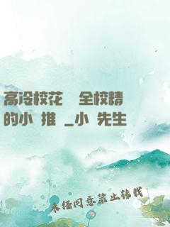 高冷?；S為全校精靈的小說推薦