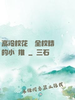 高冷?；S為全校精靈的小說推薦